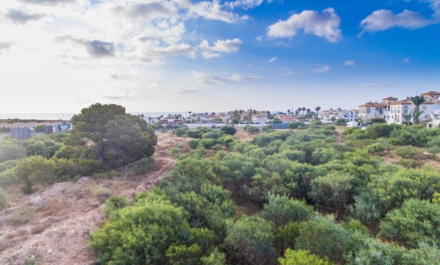 Nueva construcción  - Flat -
Orihuela Costa - Playa Flamenca