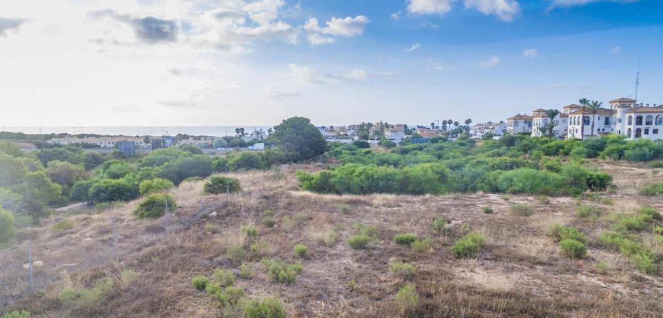 Nueva construcción  - Flat -
Orihuela Costa - Playa Flamenca