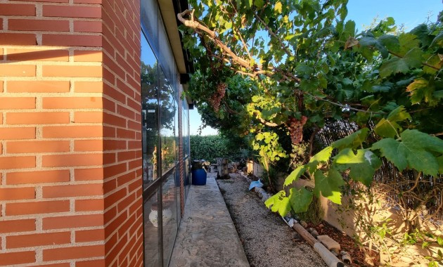 Venta - House -
Orihuela - Benferri