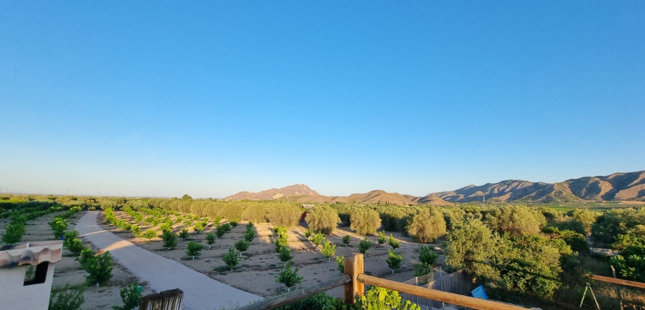 Venta - House -
Orihuela - Benferri