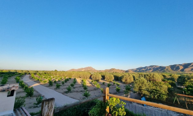 Venta - House -
Orihuela - Benferri
