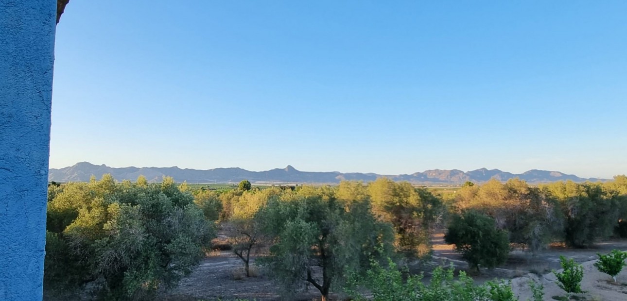 Venta - House -
Orihuela - Benferri