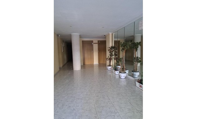 Venta - Apartamento / piso -
Torrevieja - Centro