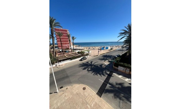 Venta - Ático -
Torrevieja - Los Frutales