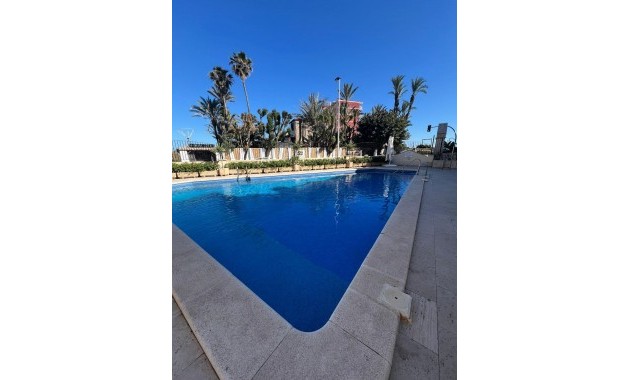 Venta - Ático -
Torrevieja - Los Frutales