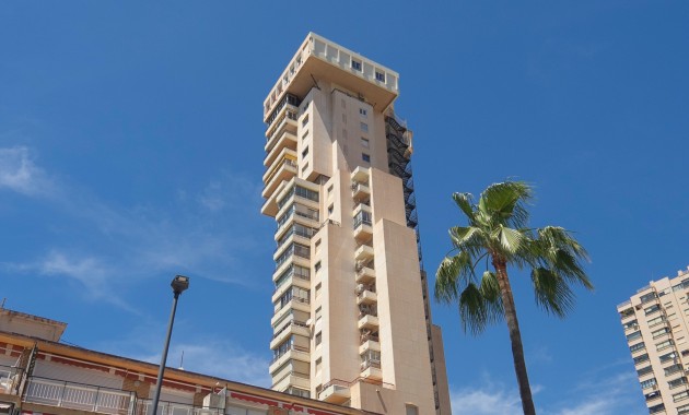 Venta - Apartamento / piso -
Benidorm - Benidorm - City