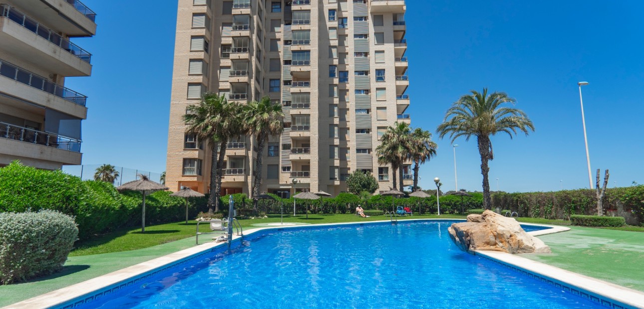 Venta - Apartamento / piso -
Guardamar del Segura - Guardamar del Segura - Town