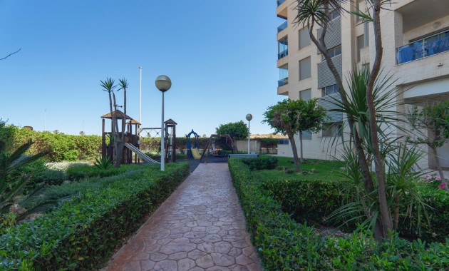 Venta - Apartamento / piso -
Guardamar del Segura - Guardamar del Segura - Town