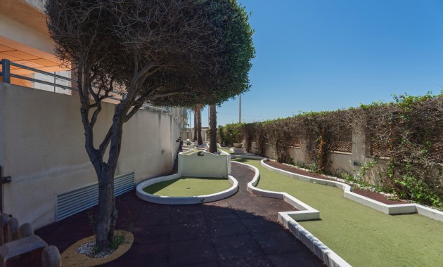 Venta - Apartamento / piso -
Guardamar del Segura - Guardamar del Segura - Town