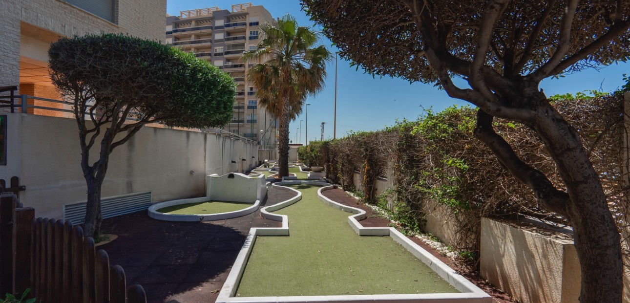 Venta - Apartamento / piso -
Guardamar del Segura - Guardamar del Segura - Town