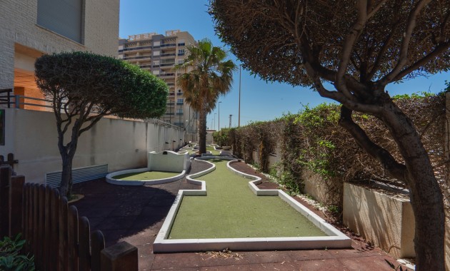 Venta - Apartamento / piso -
Guardamar del Segura - Guardamar del Segura - Town