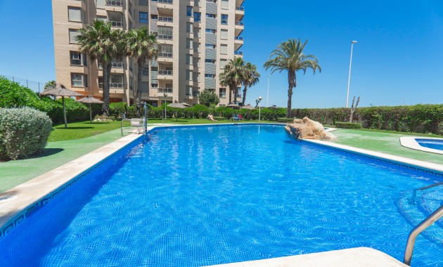 Venta - Apartamento / piso -
Guardamar del Segura - Guardamar del Segura - Town