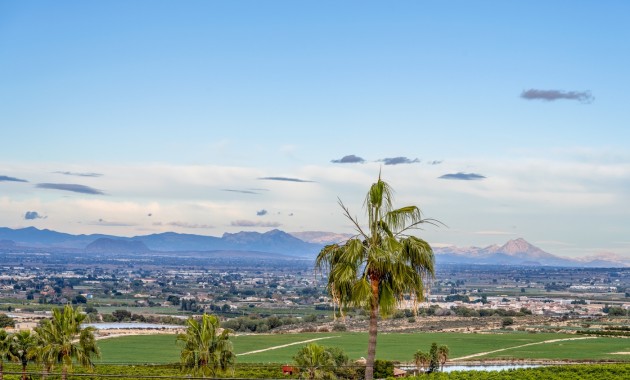 Venta - Detached Villa -
Algorfa - Lomas de La Juliana