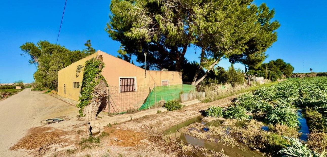 Sale - Finca / Country Property -
Guardamar del Segura