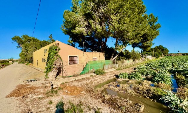Sale - Finca / Country Property -
Guardamar del Segura