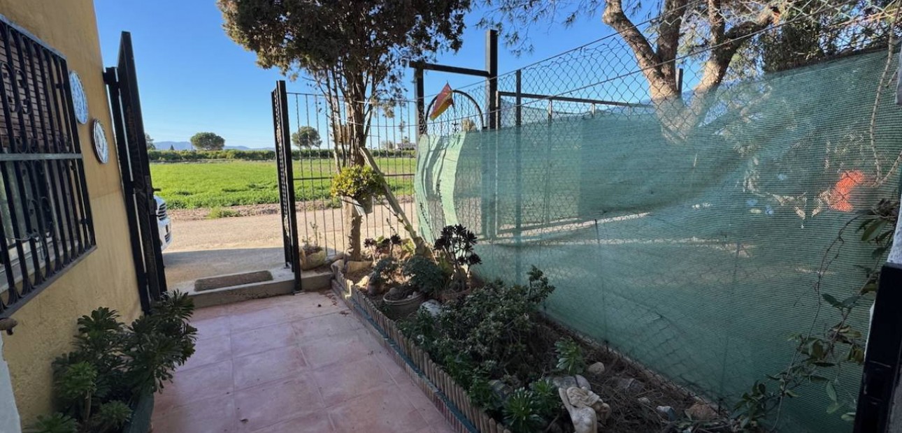 Sale - Finca / Country Property -
Guardamar del Segura