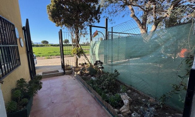 Sale - Finca / Country Property -
Guardamar del Segura