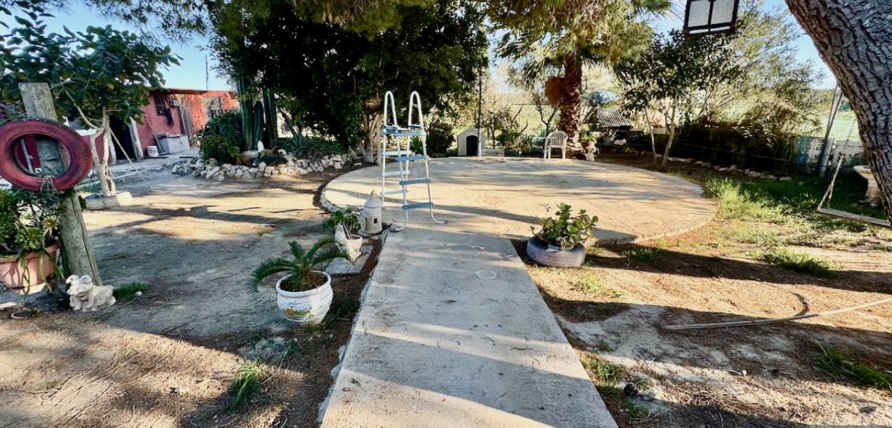 Sale - Finca / Country Property -
Guardamar del Segura