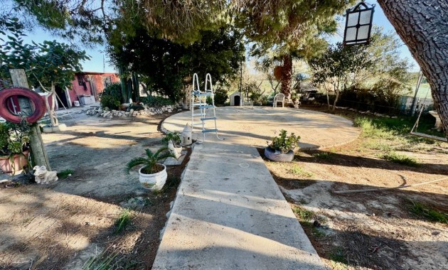Sale - Finca / Country Property -
Guardamar del Segura