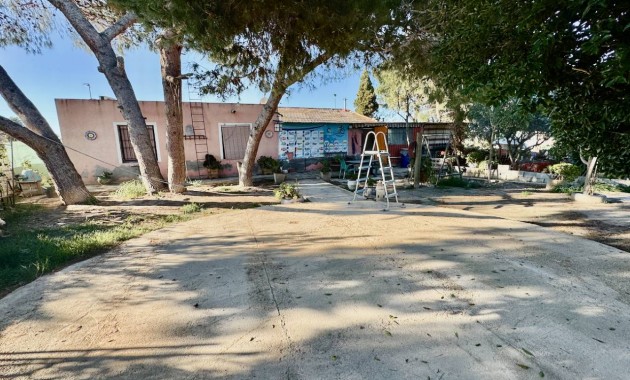 Sale - Finca / Country Property -
Guardamar del Segura