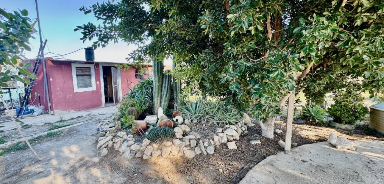 Sale - Finca / Country Property -
Guardamar del Segura