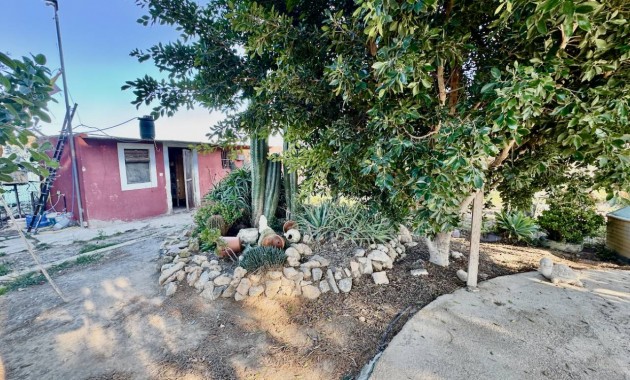 Sale - Finca / Country Property -
Guardamar del Segura