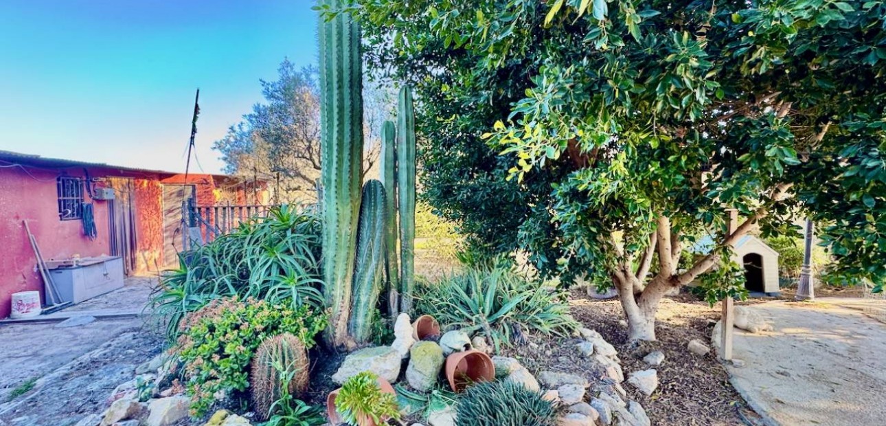 Sale - Finca / Country Property -
Guardamar del Segura