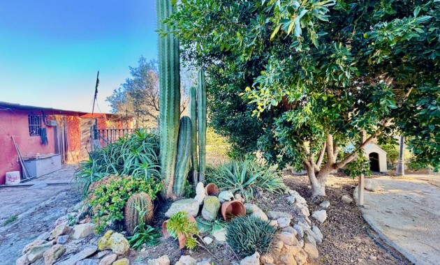 Sale - Finca / Country Property -
Guardamar del Segura