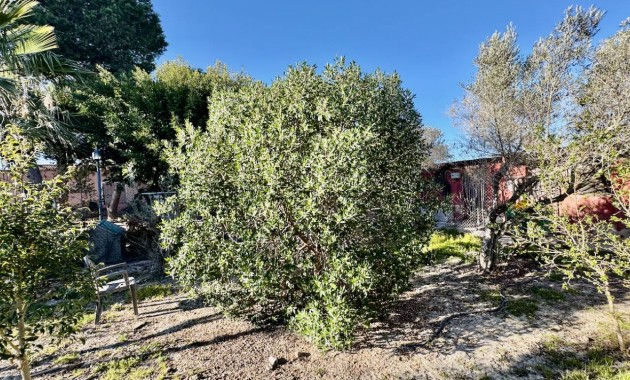 Sale - Finca / Country Property -
Guardamar del Segura