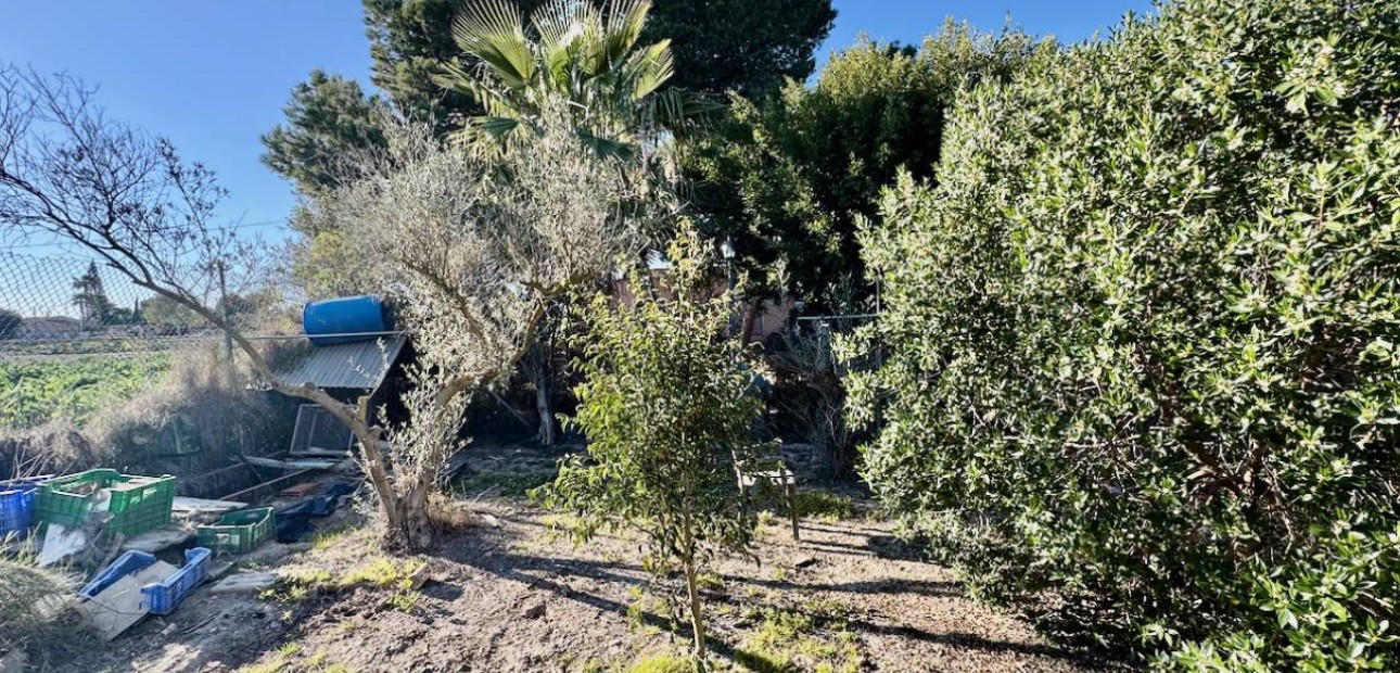 Sale - Finca / Country Property -
Guardamar del Segura