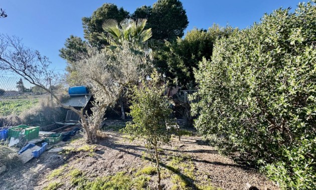 Sale - Finca / Country Property -
Guardamar del Segura