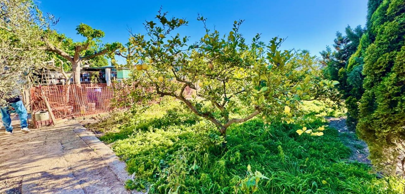 Sale - Finca / Country Property -
Guardamar del Segura