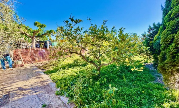 Sale - Finca / Country Property -
Guardamar del Segura