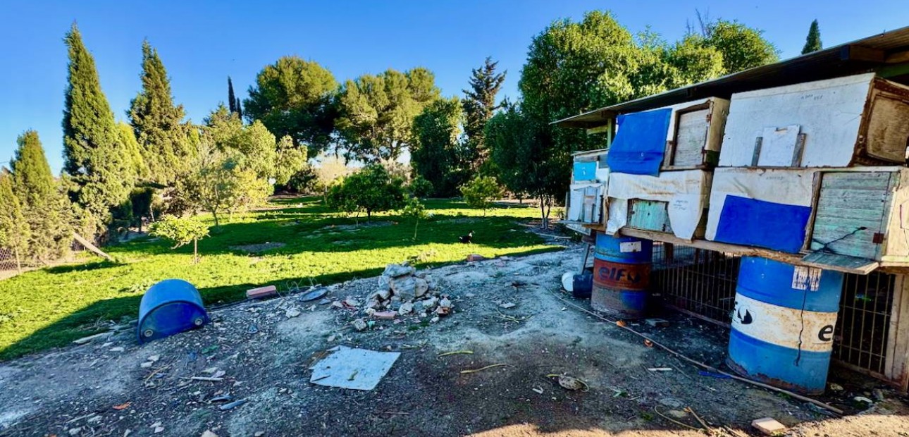 Sale - Finca / Country Property -
Guardamar del Segura