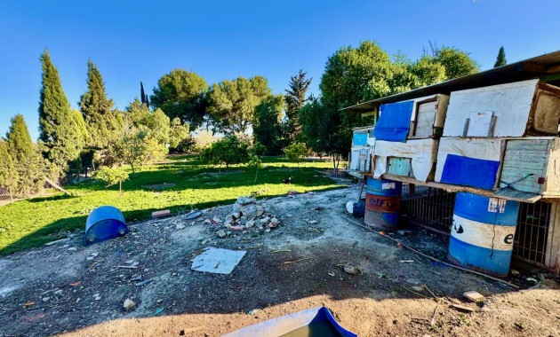 Sale - Finca / Country Property -
Guardamar del Segura