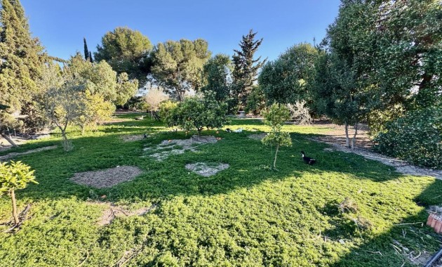 Sale - Finca / Country Property -
Guardamar del Segura