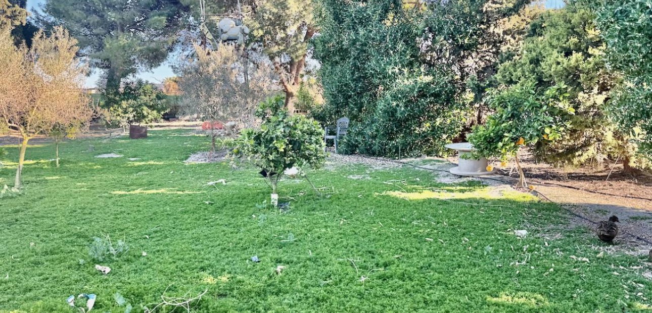 Sale - Finca / Country Property -
Guardamar del Segura