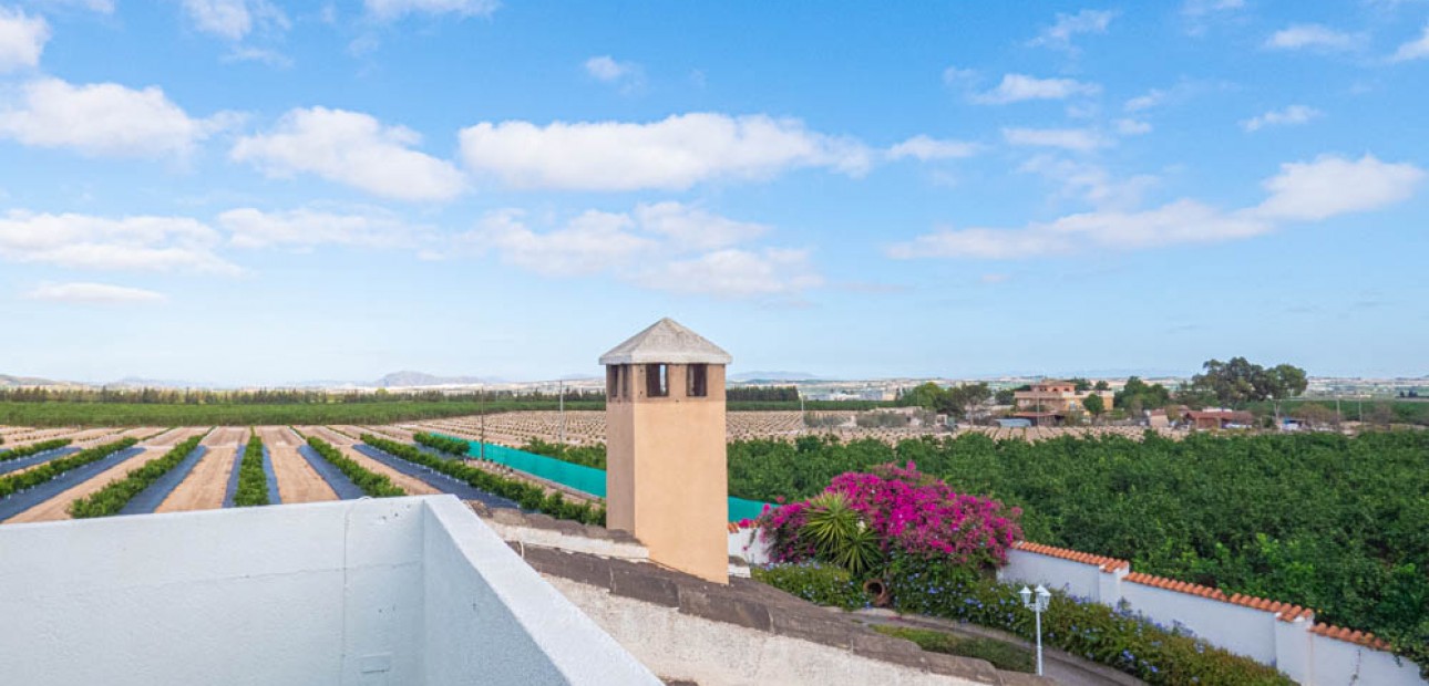 Sale - Country Property -
San Miguel de Salinas - San Miguel - Country