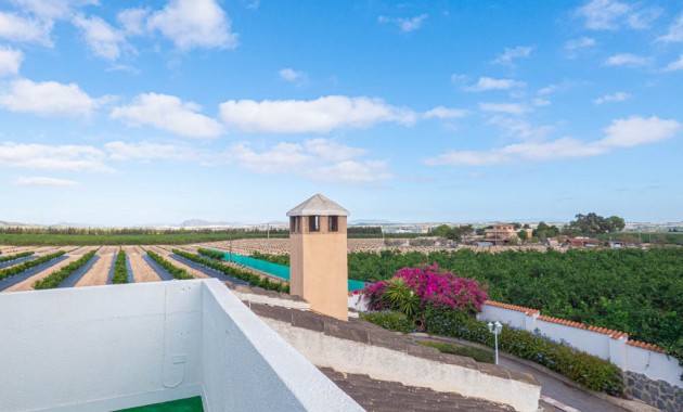 Sale - Country Property -
San Miguel de Salinas - San Miguel - Country