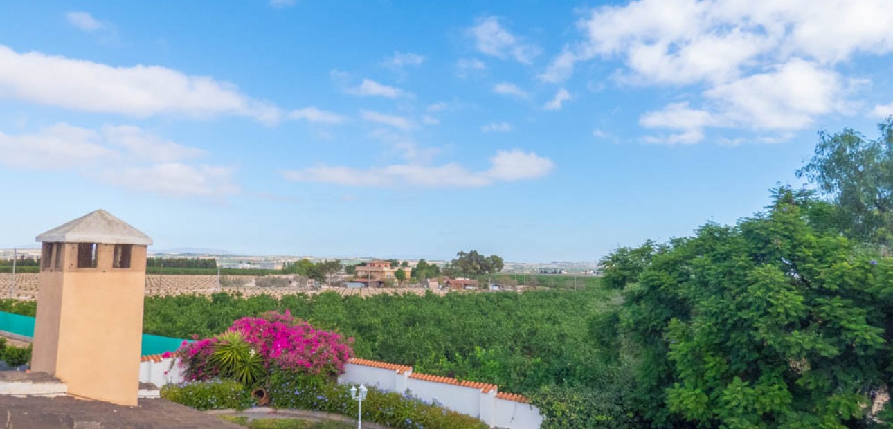 Sale - Country Property -
San Miguel de Salinas - San Miguel - Country