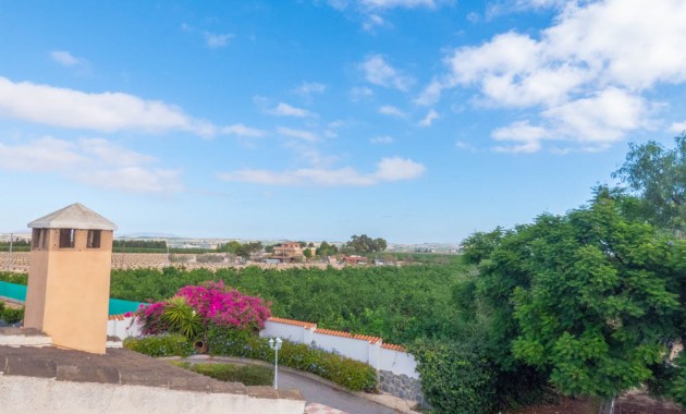 Sale - Country Property -
San Miguel de Salinas - San Miguel - Country