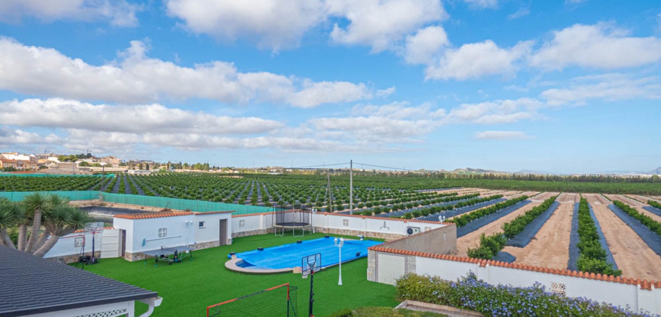 Sale - Country Property -
San Miguel de Salinas - San Miguel - Country