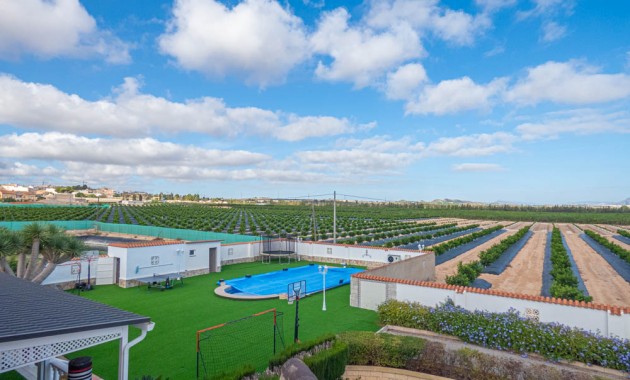 Sale - Country Property -
San Miguel de Salinas - San Miguel - Country