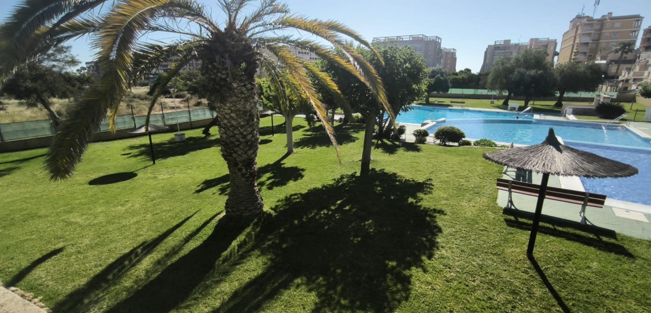 Sale - Apartment / flat -
Torrevieja - Torreblanca