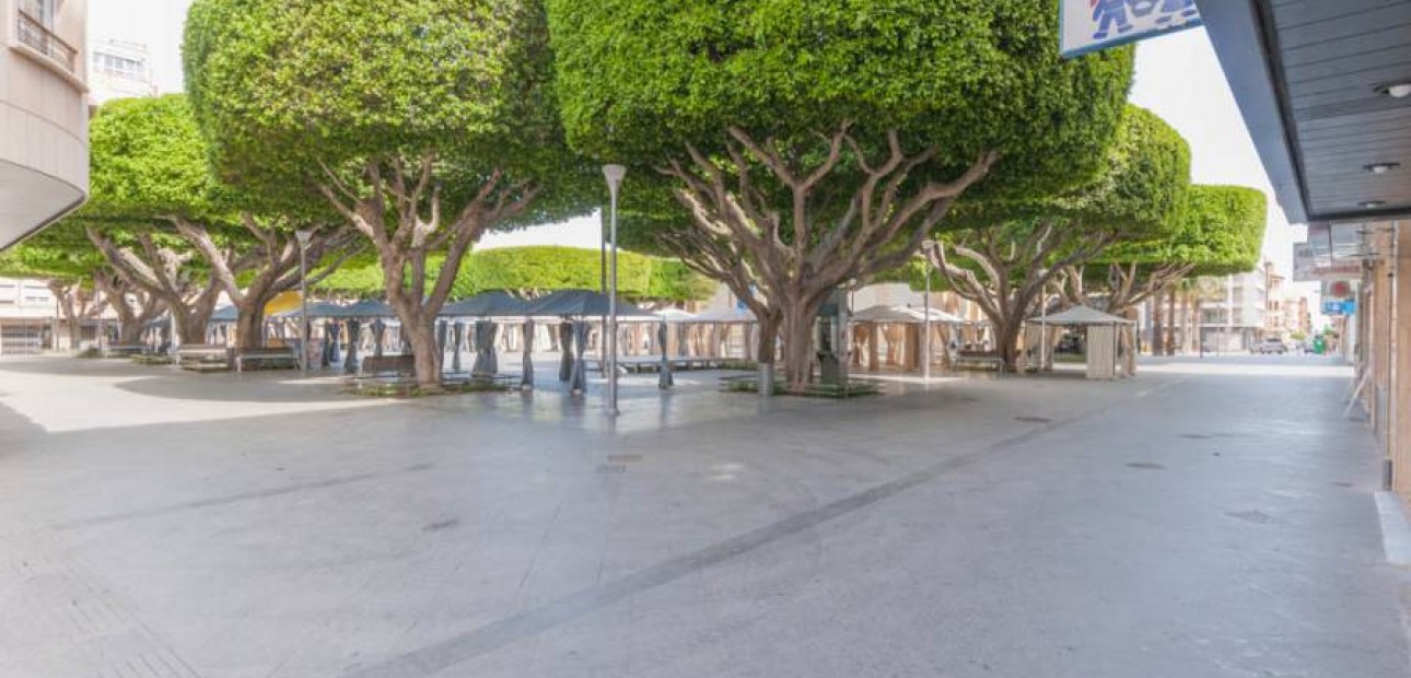 Venta - Commercial Unit -
Almoradí - Almoradí Centro