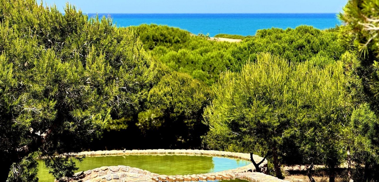 Venta - Duplex -
Torrevieja - Cañada del Molino