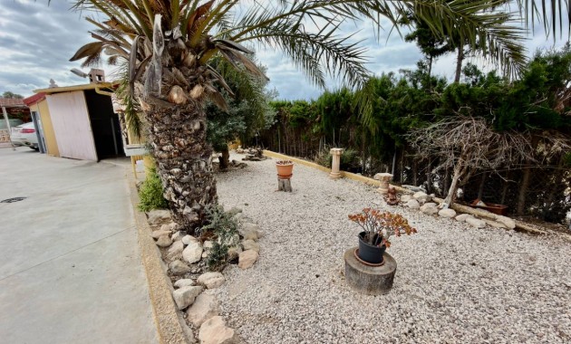 Venta - Finca / Country Property -
San Fulgencio - La Marina