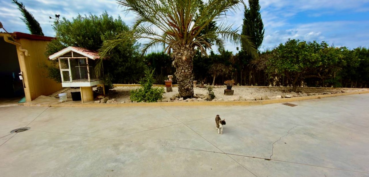 Venta - Finca / Country Property -
San Fulgencio - La Marina