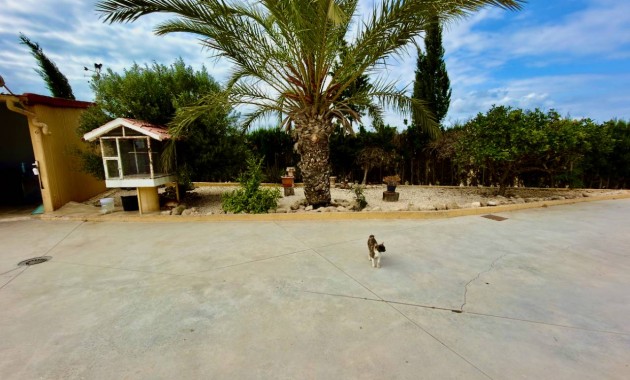 Venta - Finca / Country Property -
San Fulgencio - La Marina