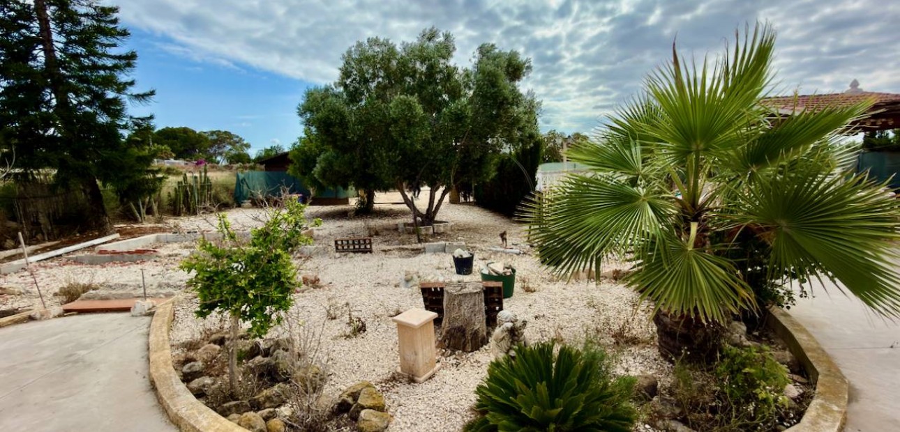 Venta - Finca / Country Property -
San Fulgencio - La Marina